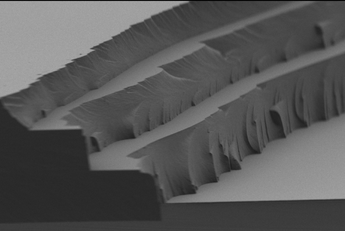  Il film polimerico con azobenzene composto da tre strati da 4 a 5 micron di spessore 