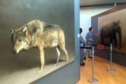 La mostra di Marzio Tamer