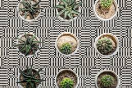 compasso-oro-friul mosaic-tessere