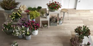 woodsense-ragno-gres-effetto-legno