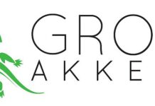 groen-akkedis