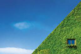 settef-Thermophon-PV-Eco-Green